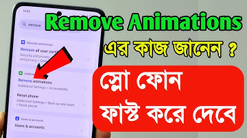 Remove Animation ( Accessibility Settings )