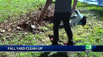 Consumer Reports: What to know about fall yard cleanup options