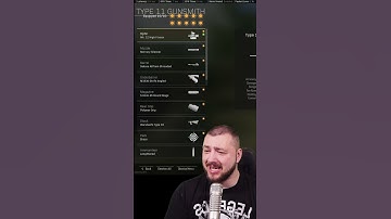 Maximum Damage while Low Recoil - THE TYPE 11!