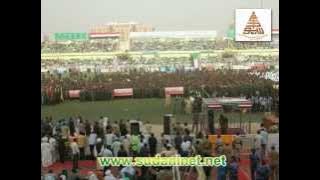 الدبابين أسود الغابة