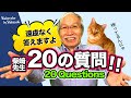 [Eng sub] I'll answer the 20 questions without discovery. / Shibasaki