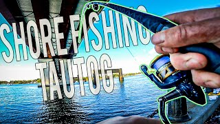 SPRING TAUTOG FISHING FROM SHORE Rhode Island 2021