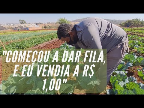 Como foi o primeiro dia da venda produção de hortaliças?