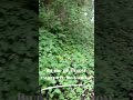 Не исполняя заповеди   что вы скажете тогда, Когда восстанет истина суда 4