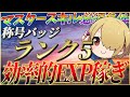 【ヘブバン】称号バッジランク5！効率的なEXPの稼ぎ方を紹介！【ヘブンバーンズレッド】【heaven burns red】