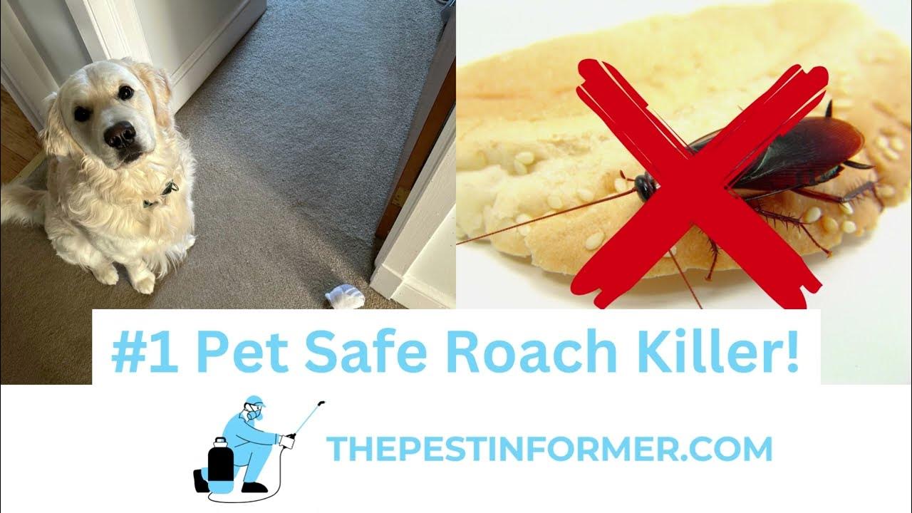 1 Best Pet Safe Roach Killer! Cockroach Treatment Safe For Dogs