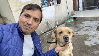 Bravo In First Vlog Full Fun Satbir Dhull Vlogs