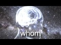 whomst.mp4