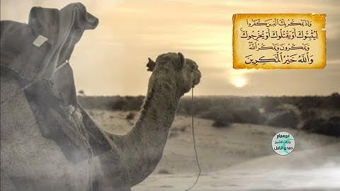 الشيخ حمدى الزامل / الآيه ٣٠ من سورة الانفال