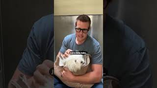 When a rescue dog finally feels safe...🥹❤️