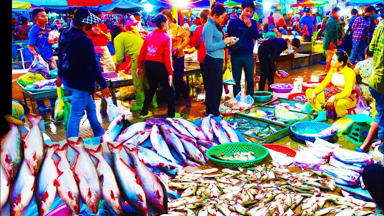 Early Morning Chbar Ampov Fish Market Scene - Plenty Fish, Alive Fish, Seafood, Frog & More