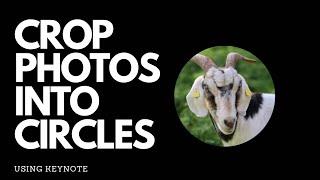 How to Easily Crop Your Photos into Circles using KeyNote