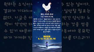 2024.03.08 닭띠 오늘의 운세