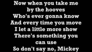 Toni BasilHey Mickey Lyrics