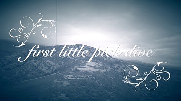 Frsky R9M 868mhz test little pick dive