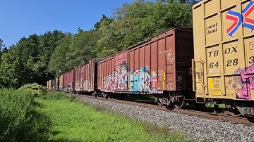 CSX manifest train heads north through Mine Dock Park
