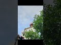 Fort Wayne job! Before, during, and after picture video! #stihl #treework