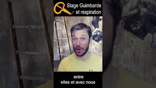Atelier Guimbarde et Respiration -- Présentation