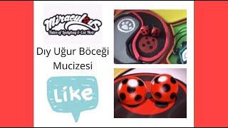 Dıy Uğur Böceği Mucizesi Mucize Uğur Böceği ile Kara Kedi Dıy Ladybug Miraculous Miraculous Ladybug