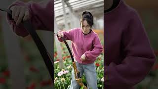 Would You Use This Quick-Setup Recurve Bow? #fypシ #fyp #archery#recurvebow#recurvearchery#outdoors