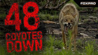 48 FOXPRO Kills in Under Two Minutes - Coyote Hunting