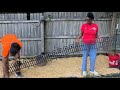 First Time Building A Watermelon Patch Budget 