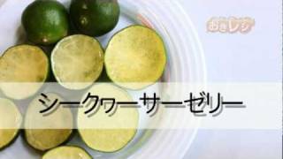 シークヮーサーゼリー 沖縄料理レシピなら おきレシ