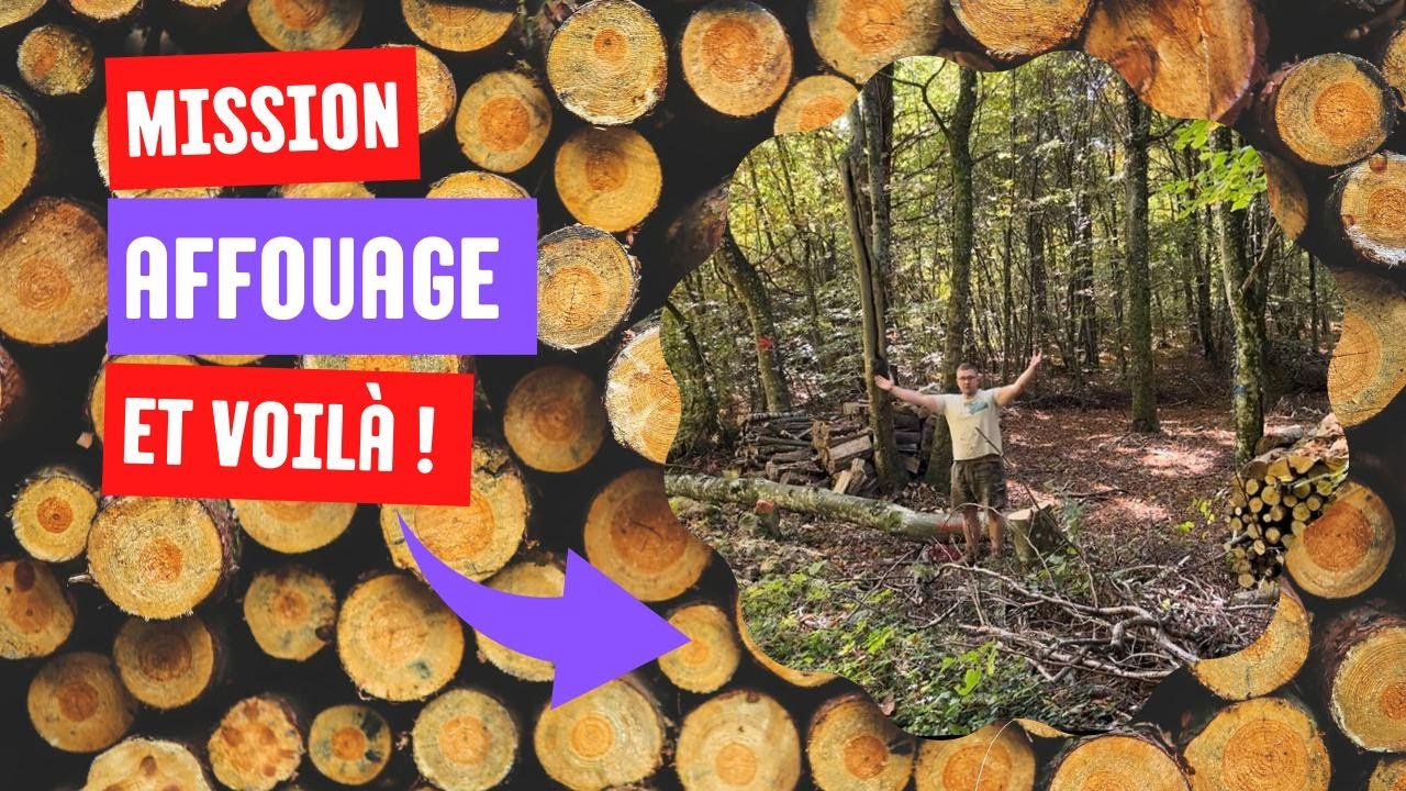 [AFFOUAGE ] 2025 : J’abats un arbre… et je le prépare de A à Z ! 🌲🔥