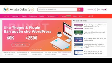 Demo và hướng dẫn cài đặt theme Wordpress bán Theme và Plugin miễn phí