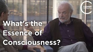 Stephen Chorover - What's the Essence of Consciousness?