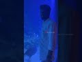 VGP Marine Kingdom | India 1st Unterwater tunnel | balasvoyage #fish #aquarium