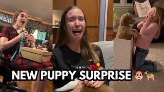 NEW PUPPY SURPRISE | WHOLESOME SURPRISE MOMENTS