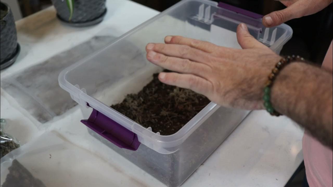 Isopod Habitat Kit Everything Your Isopod Needs DIY YouTube