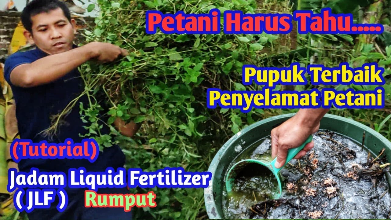 The Best Fertilizer Saves Farmers How to Make Jadam Liquid Fertilizer