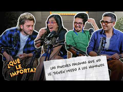 NOS MUDAMOS A UN DEPA QUE ESTABA LLENO DE PALOMAS POR DENTRO | La Bea e Isra