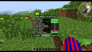 Minecraft Rei´s Minimap Mod 1.3.1 [HD und deutsch] screenshot 4