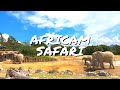 🔥 AFRICAM SAFARI 🔥 El famoso parque de Animales más grande de América | Puebla México | Uri Ortega