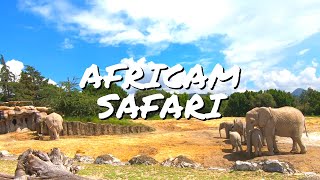 AFRICAM SAFARI  El famoso parque de Animales más grande de América | Puebla México | Uri Ortega