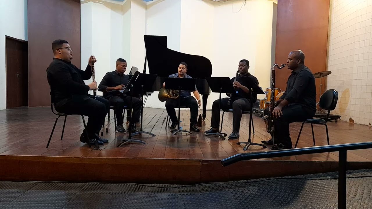 Quintet for horn and strings - Franz Anton Hoffmeister (arr. for horn and clarinet quartet)