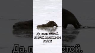 Можно я с ТОБОЙ? #short