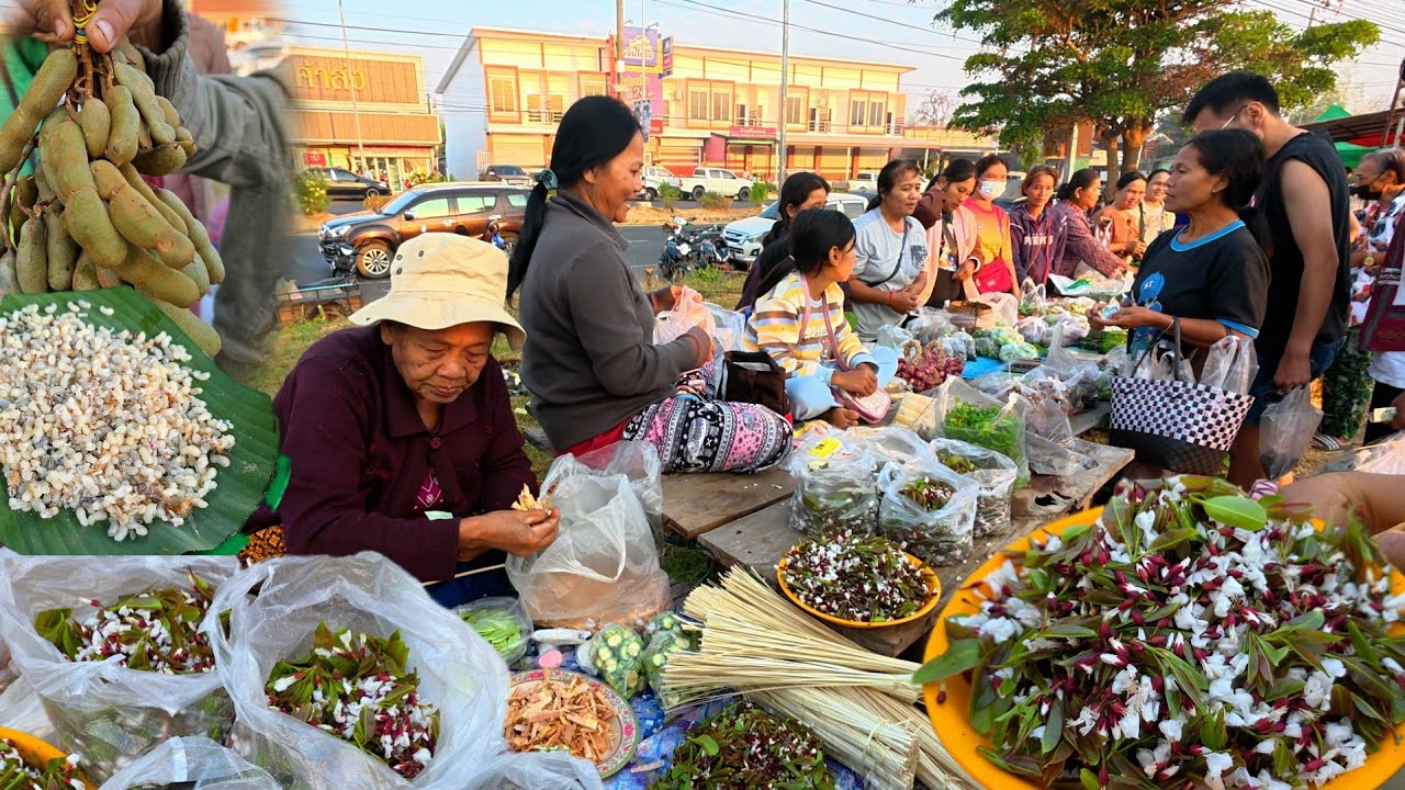 ตลาดนัดบ้านหัวนา ทุกเช้าอาทิตย์ | แมงจินูน ไข่มดแดง จั๊กจั่น อาหารตามฤดูกาล เขมราฐ อุบลราชธานี