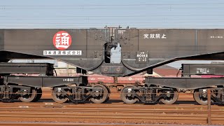 豪快なジョイント音！EF65-2094白プレ牽引 シキ801B2