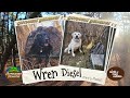 Viewer Pictures - February 3, 2024