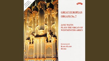 Organ Sonata No. 1 in D Minor, Op. 42: I. Introduction. Largo e maestoso - Allegro
