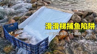 男人在河里布置滑滑梯捕魚陷阱3小時抓到幾十條魚兒