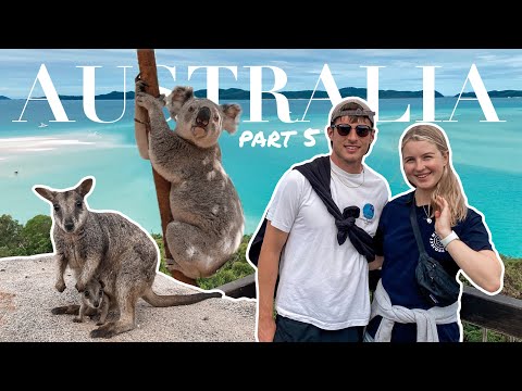 AUSTRALIA TRAVEL VLOG | meeting Aussie animals, sailing the Whitsundays & exploring Maggie Island!