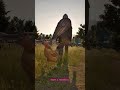 POV: You Started a Rebellion #bellwright #bellwrightgameplay #medievalsurvival