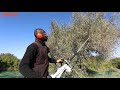 Ramasseur dolives sp 481  stihl tunisie