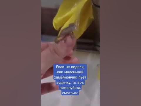 Краснозатонская вода #коми #shorts - YouTube
