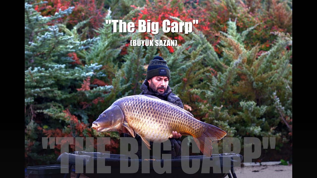 “THE BİG CARP” / “BÜYÜK SAZAN”                    #carpfishing #carp #camping 